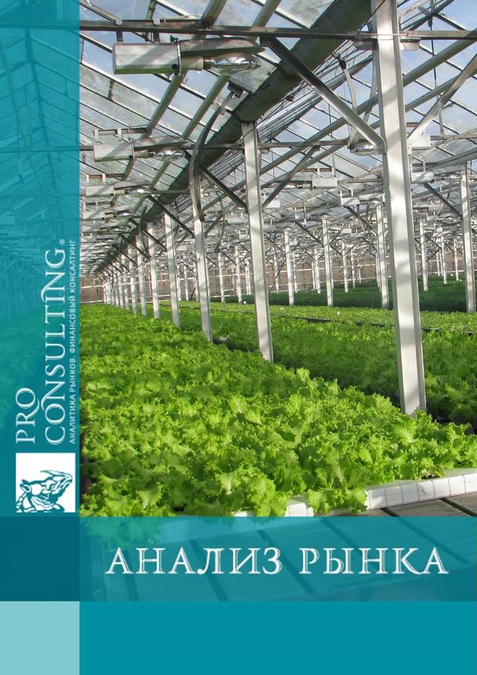 Анализ рынка тепличных культур Украины. 2016 год